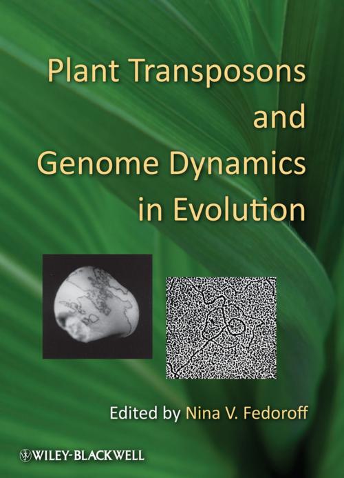 Cover of the book Plant Transposons and Genome Dynamics in Evolution by , Wiley