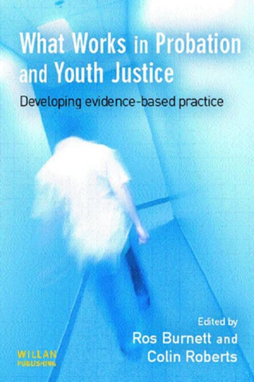 Cover of the book What Works in Probation and Youth Justice by , Taylor and Francis