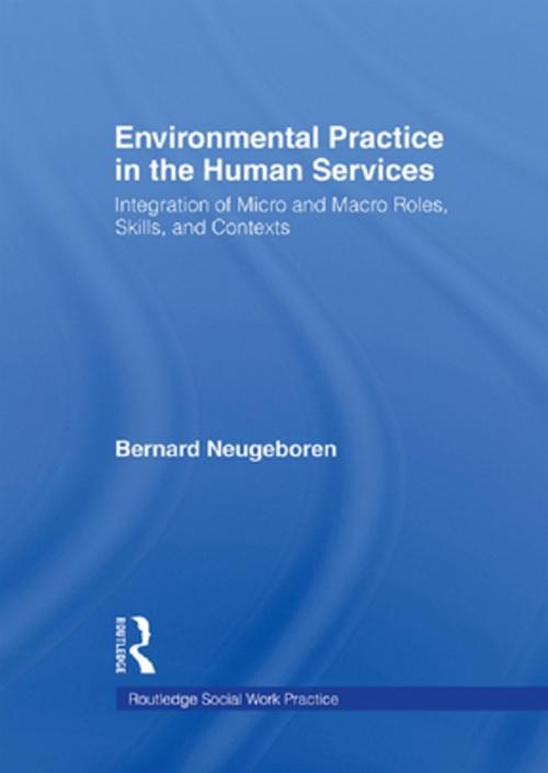 Cover of the book Environmental Practice in the Human Services by Bernard Neugeboren, Taylor and Francis