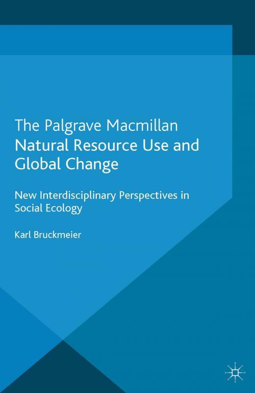 Cover of the book Natural Resource Use and Global Change by K. Bruckmeier, Palgrave Macmillan UK