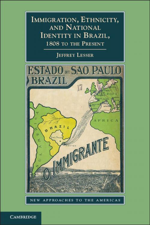 Cover of the book Immigration, Ethnicity, and National Identity in Brazil, 1808 to the Present by Jeffrey Lesser, Cambridge University Press