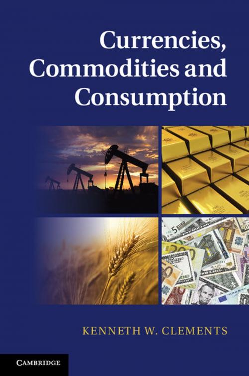 Cover of the book Currencies, Commodities and Consumption by Kenneth W. Clements, Cambridge University Press
