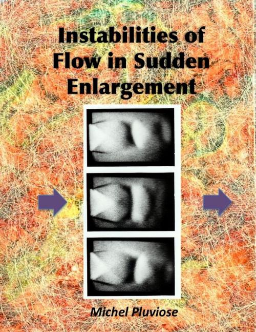 Cover of the book Instabilities of Flow in Sudden Enlargement by Michel Pluviose, Lulu.com