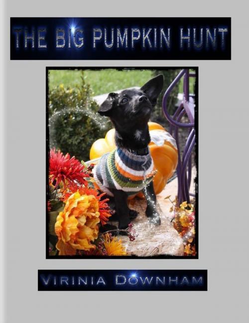 Cover of the book The Big Pumpkin Hunt by Virinia Downham, Lulu.com