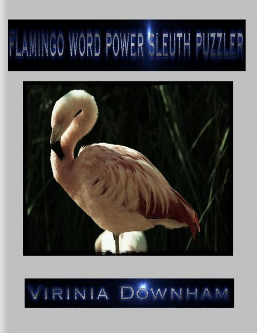 Cover of the book Flamingo Word Power Sleuth Puzzler by Virinia Downham, Lulu.com
