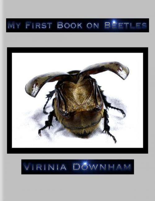 Cover of the book My First Book on Beetles by Virinia Downham, Lulu.com