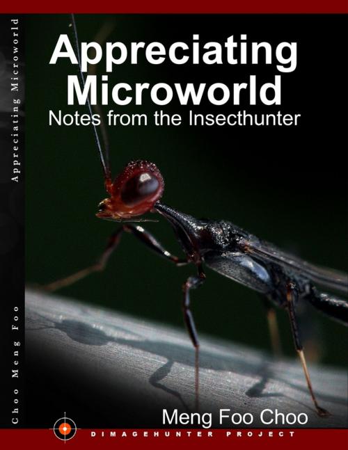 Cover of the book Appreciating Microworld: Notes from the Insecthunter by Meng Foo Choo, Lulu.com