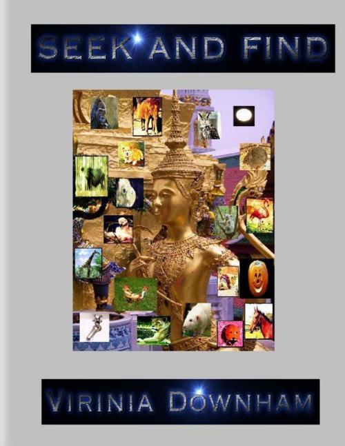 Cover of the book Seek and Find by Virinia Downham, Lulu.com