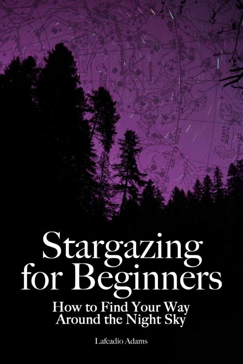 Cover of the book Stargazing for Beginners by Lafcadio Adams, Idle Winter Press