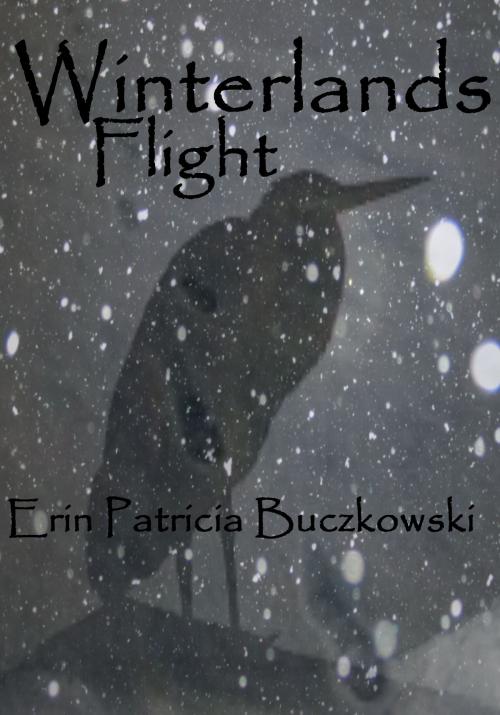 Cover of the book Winterlands Flight by Erin Buczkowski, Erin Buczkowski