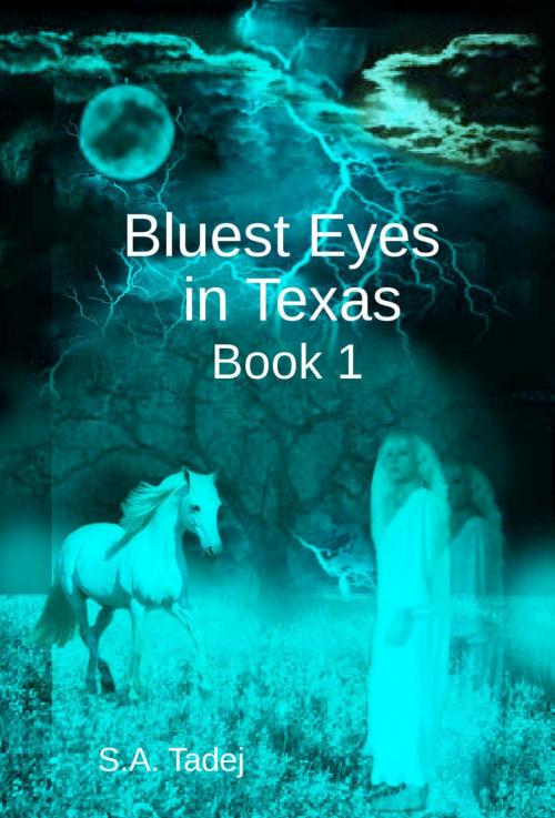 Cover of the book Bluest Eyes in Texas: Book 1 by S.A. Tadej, S.A. Tadej