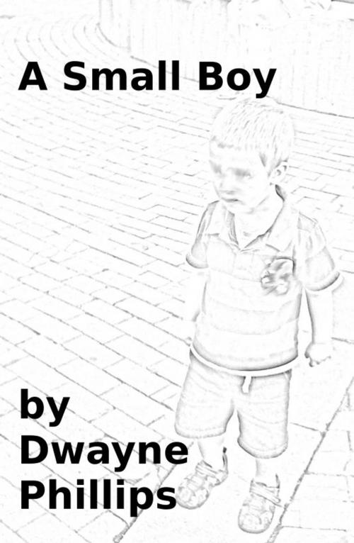 Cover of the book A Small Boy by Dwayne Phillips, Dwayne Phillips
