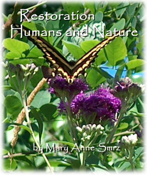 Cover of the book Restoration, Humans and Nature by Mary Anne Smrz, Mary Anne Smrz