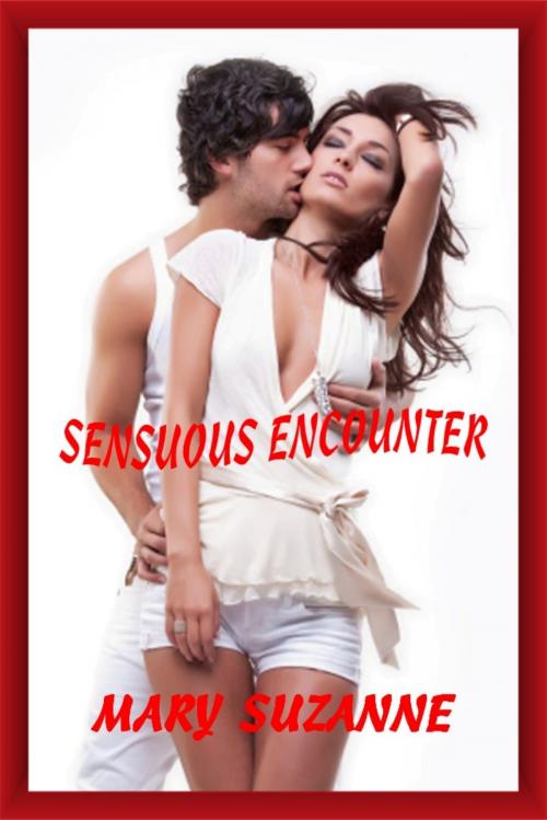 Cover of the book Sensuous Encounter by Mary Suzanne, Mary Suzanne