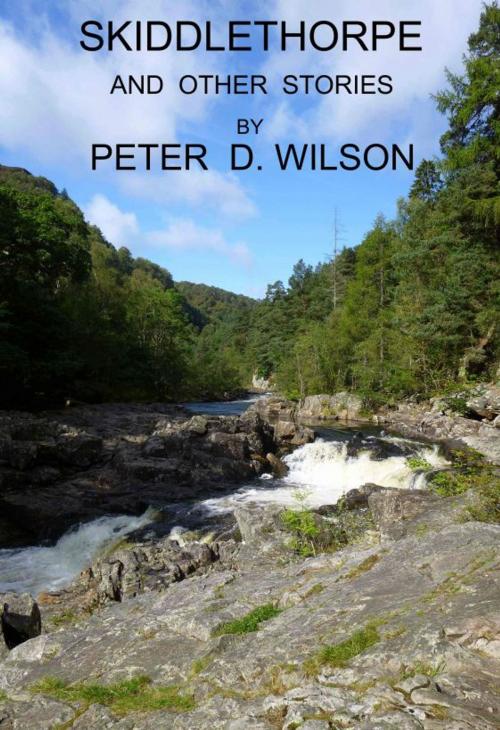 Cover of the book Skiddlethorpe and other stories by Peter Wilson, Peter Wilson