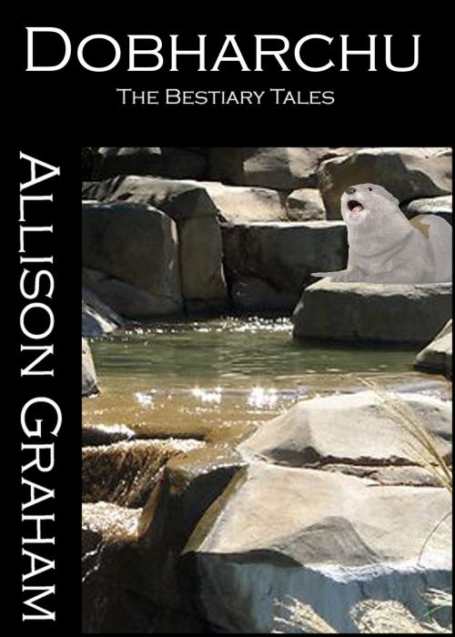 Cover of the book Dobharchu by Allison Graham, Allison Graham