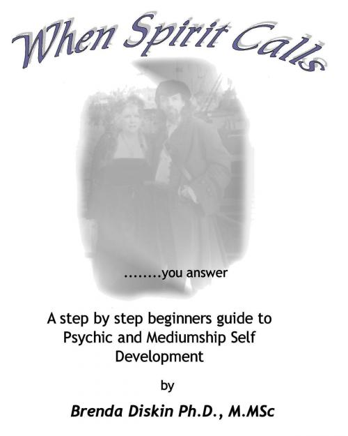 Cover of the book When Spirit Calls: you answer by Brenda Diskin Ph.D, M.Msc, Brenda Diskin Ph.D, M.Msc