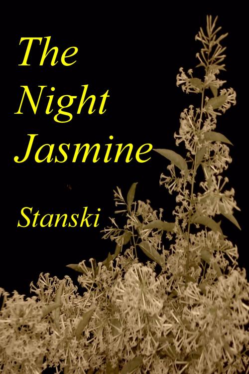 Cover of the book The Night Jasmine by Stanski, Stanski