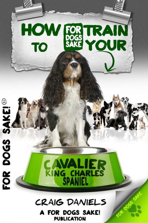 Cover of the book How to Train Your Cavalier King Charles Spaniel by Craig Daniels, For Dogs Sake!