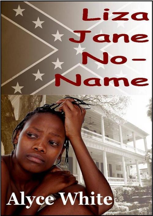 Cover of the book Liza Jane No-Name by Alyce White, House of Lit
