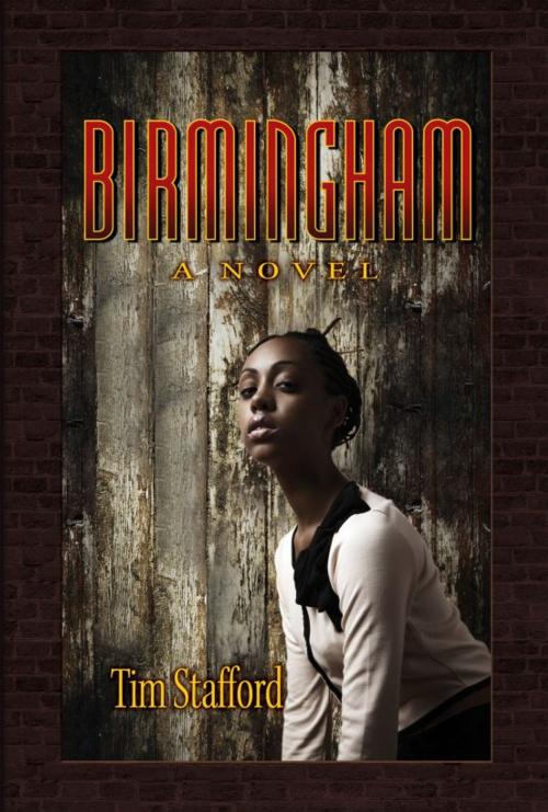 Cover of the book Birmingham by Tim Stafford, Tim Stafford