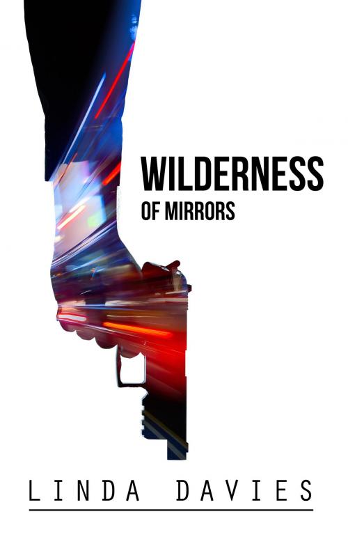 Cover of the book Wilderness of Mirrors by Linda Davies, Linda Davies