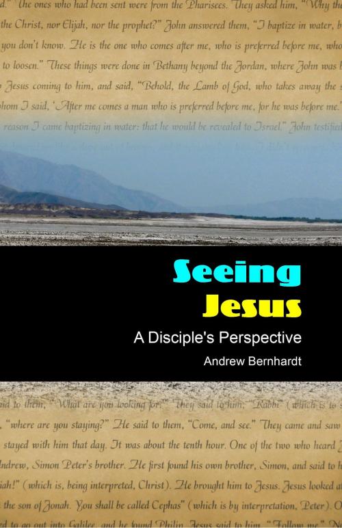 Cover of the book Seeing Jesus: A Disciple's Perspective by Andrew Bernhardt, Andrew Bernhardt