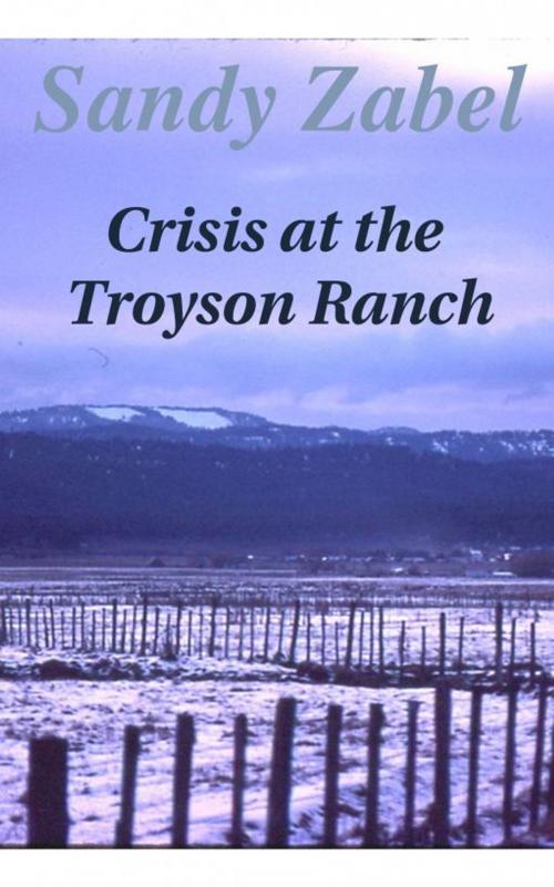 Cover of the book Crisis at the Troyson Ranch by Sandy Zabel, Two His Glory Publishing