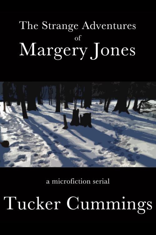 Cover of the book The Strange Adventures of Margery Jones by Tucker Cummings, Tucker Cummings