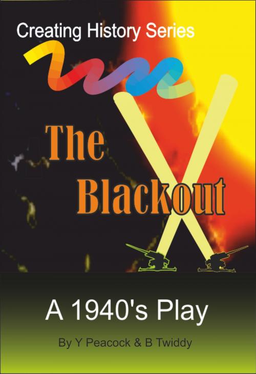 Cover of the book The Blackout by Brian Twiddy, Brian Twiddy