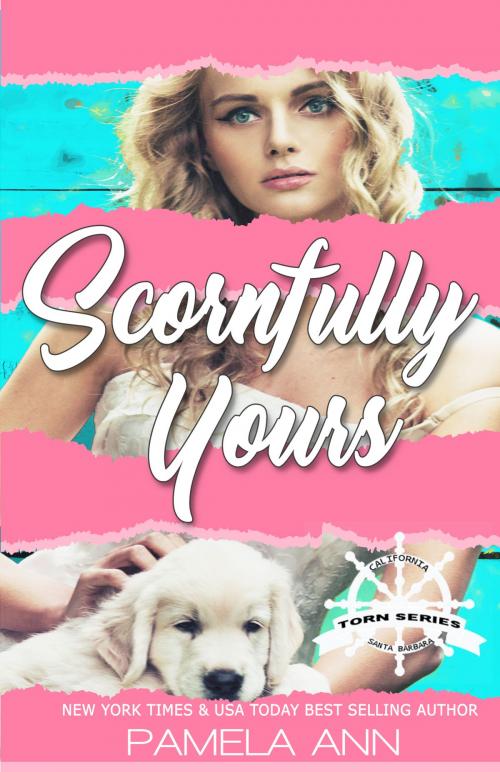Cover of the book Scornfully Yours (Torn Series: 1) by Pamela Ann, Pamela Ann