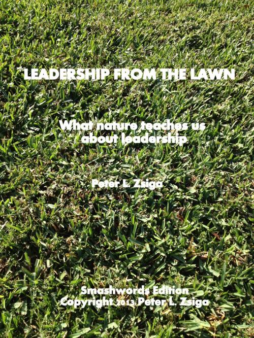 Cover of the book Leadership from the Lawn by Peter Zsiga, Peter Zsiga