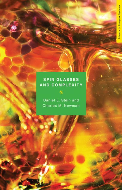 Cover of the book Spin Glasses and Complexity by Daniel L. Stein, Charles M. Newman, Princeton University Press