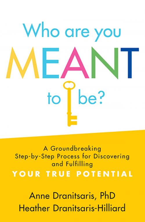 Cover of the book Who Are You Meant to Be? by Heather Dranitsaris-Hilliard, Anne Dranitsaris, Sourcebooks