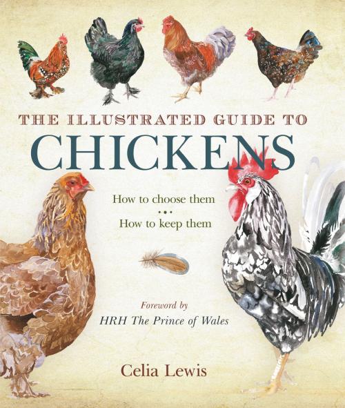 Cover of the book The Illustrated Guide to Chickens by Celia Lewis, Bloomsbury Publishing