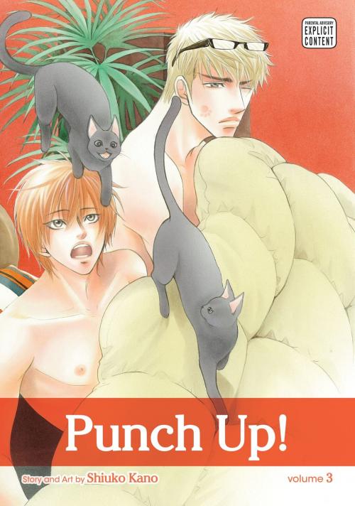 Cover of the book Punch Up!, Vol. 3 (Yaoi Manga) by Shiuko Kano, VIZ Media