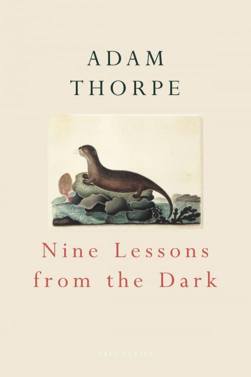 Cover of the book Nine Lessons From The Dark by Adam Thorpe, Random House