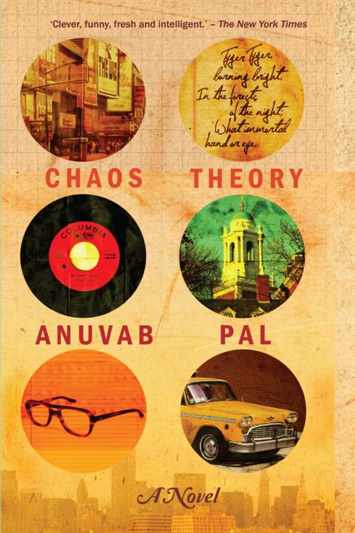 Cover of the book The Chaos Theory by Anuvab Pal, Pan Macmillan
