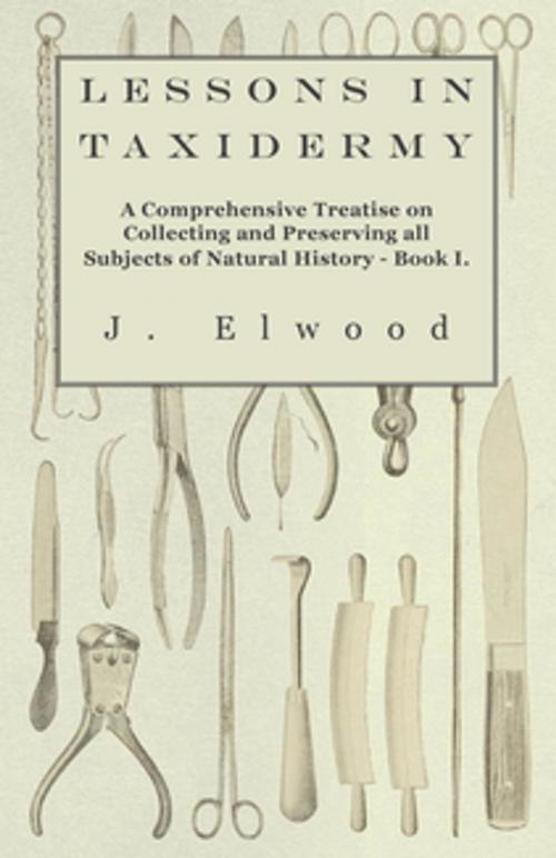 Cover of the book Lessons in Taxidermy - A Comprehensive Treatise on Collecting and Preserving All Subjects of Natural History - Book I. by J. Elwood, Read Books Ltd.