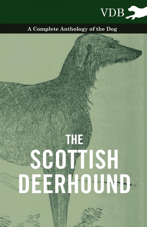 Cover of the book The Scottish Deerhound - A Complete Anthology of the Dog by Various, Read Books Ltd.