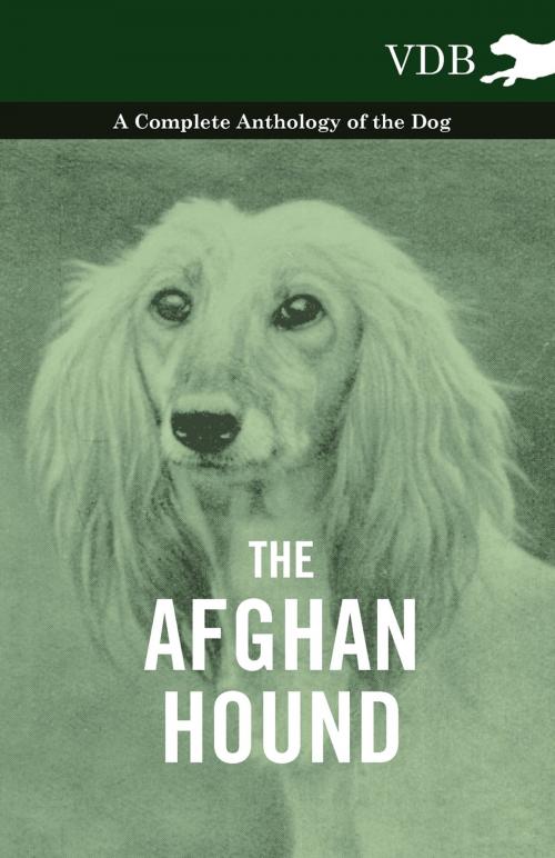 Cover of the book The Afghan Hound - A Complete Anthology of the Dog - by Various, Read Books Ltd.