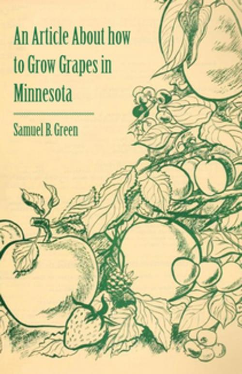 Cover of the book An Article about How to Grow Grapes in Minnesota by Samuel B. Green, Read Books Ltd.