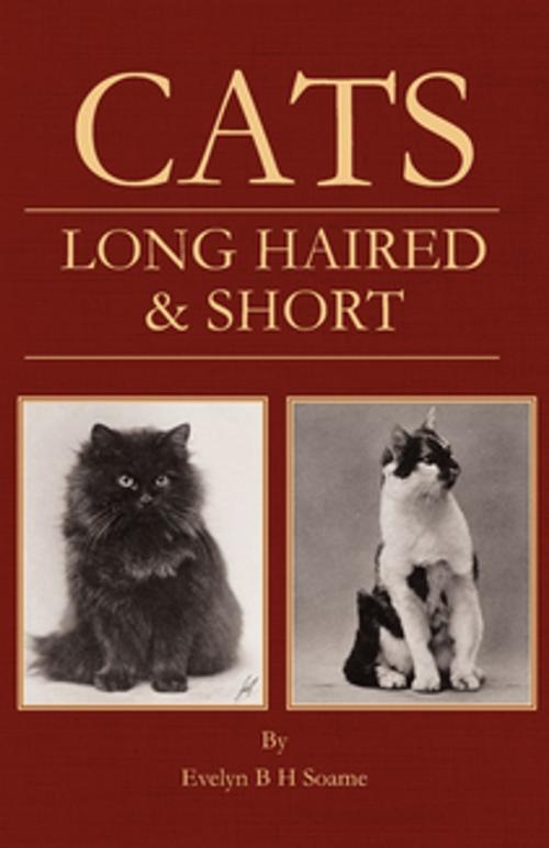 Cover of the book Cats - Long Haired and Short - Their Breeding, Rearing & Showing by Evelyn B. H. Soame, Read Books Ltd.