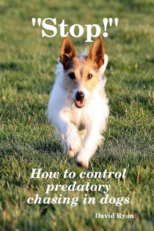Cover of the book "Stop!": How to Control Predatory Chasing in Dogs by David Ryan, Lulu.com