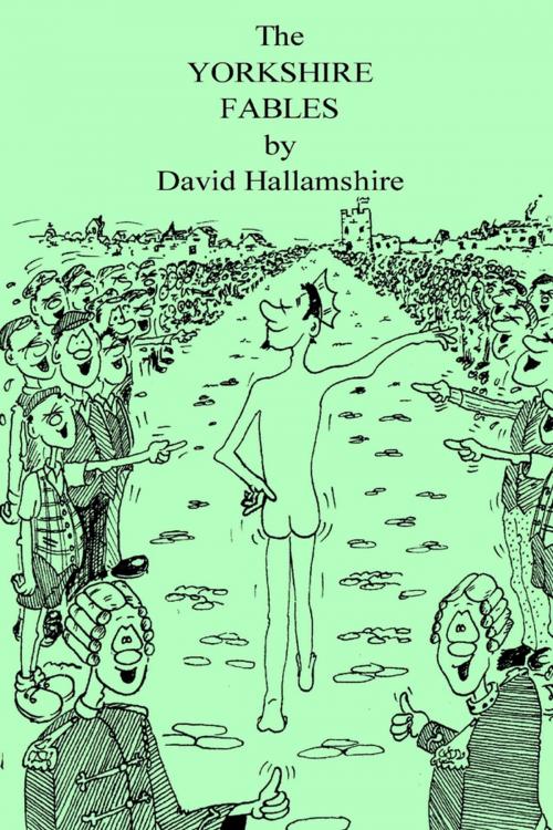 Cover of the book The Yorkshire Fables by David Hallamshire, Lulu.com