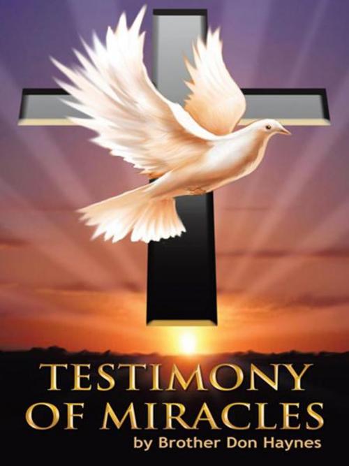 Cover of the book Testimony of Miracles by Brother Don Haynes, WestBow Press
