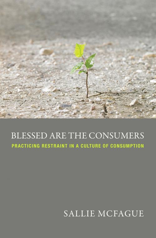 Cover of the book Blessed are the Consumers -- A Fortress Digital Review by Sallie McFague, Fortress Press