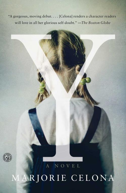 Cover of the book Y by Marjorie Celona, Free Press