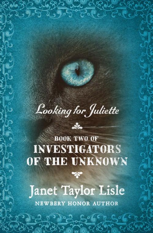 Cover of the book Looking for Juliette by Janet Taylor Lisle, Open Road Media