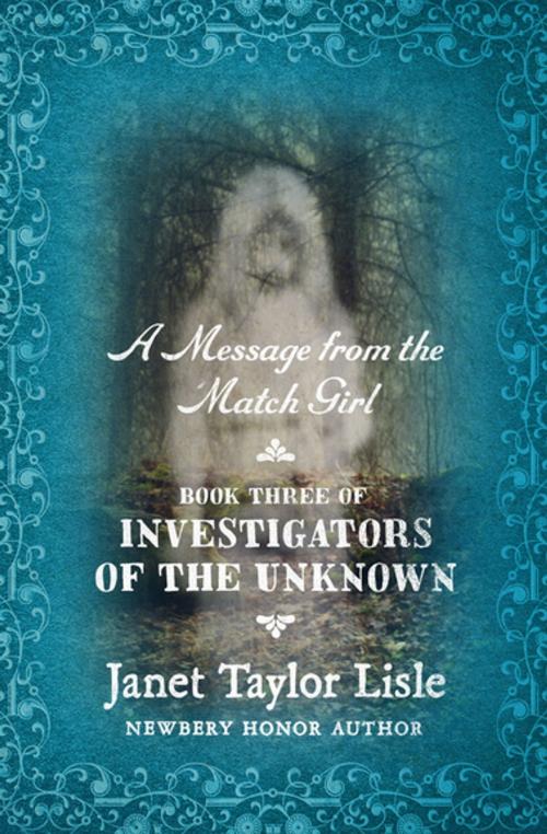 Cover of the book A Message from the Match Girl by Janet Taylor Lisle, Open Road Media
